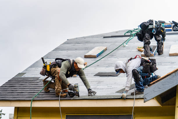 Professional Flat Roof Repair technician working in Steamboat Rock, IA